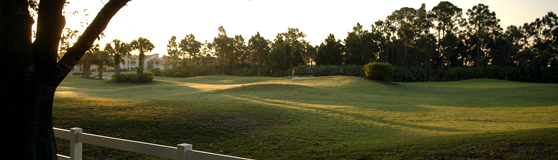 Short Course